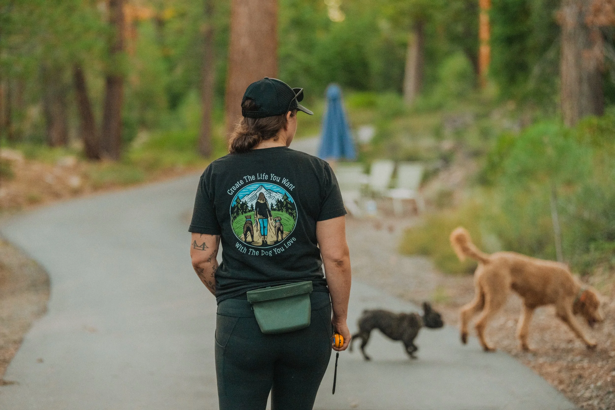 Skye from Skye's the limit dog training walking her pack of training dogs in a 20 acre private property in truckee california. off leash dog hiking