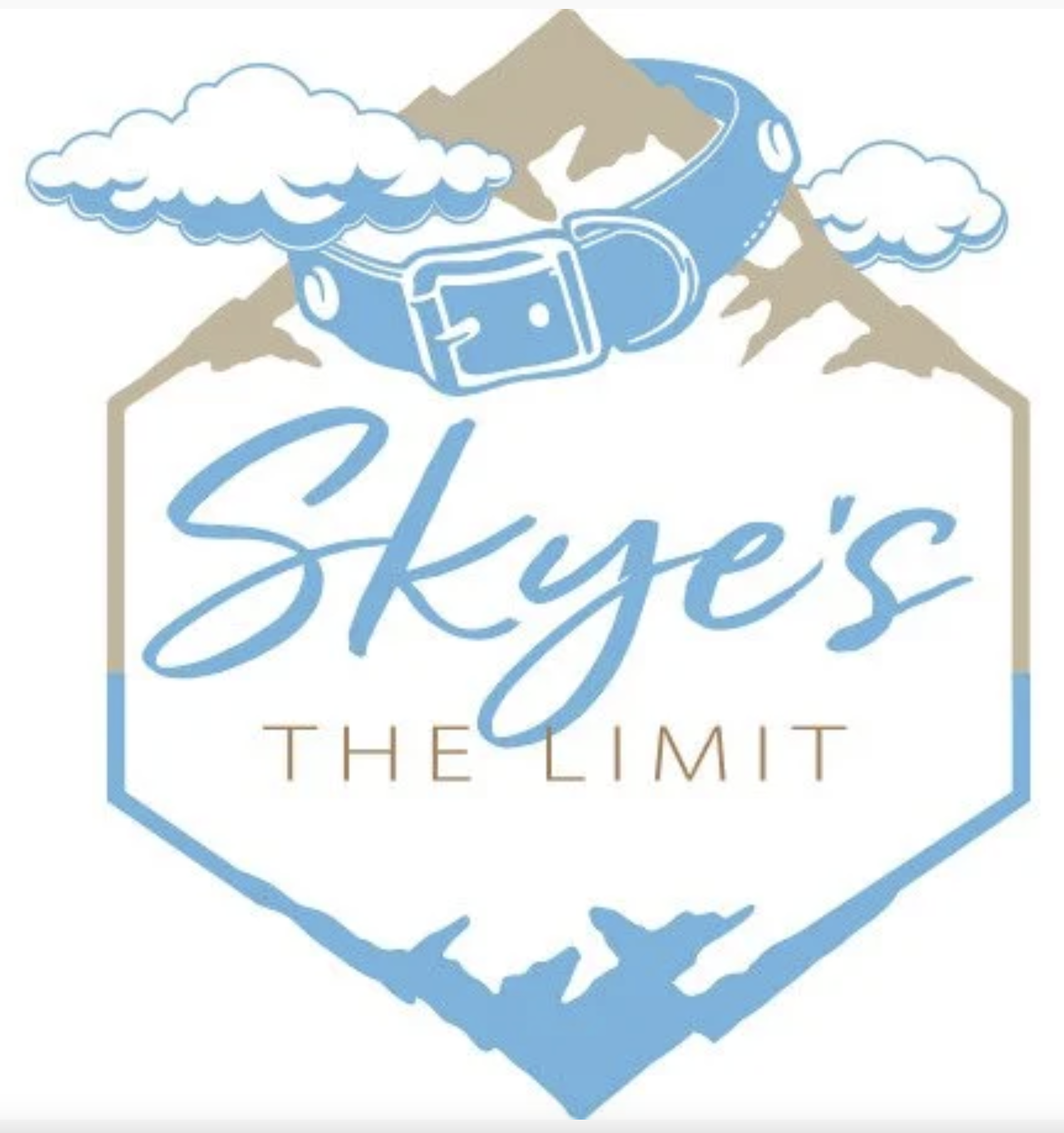 Illustration of a mountain with clouds and a stylized blue moon or planet in the foreground, with the text 'Sky's The Limit' written underneath.