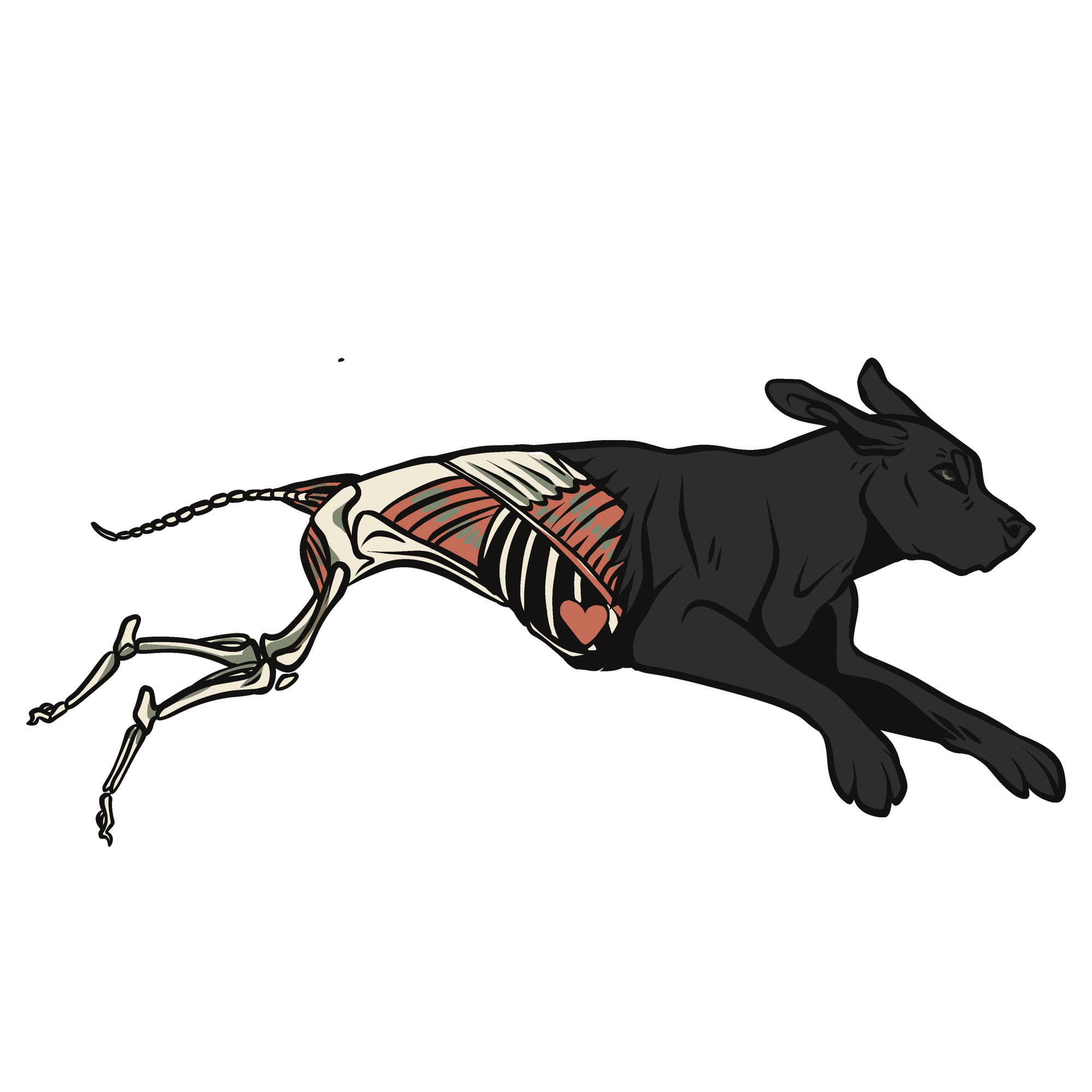 Logo for Canine learning lab of a black lab jumping