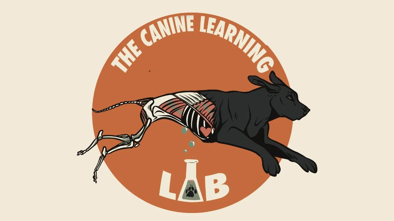 Illustration of a black dog with parts of its body cut open revealing skeletal and muscular structures, with a small heart inside, labeled 'The Canine Learning Lab'.