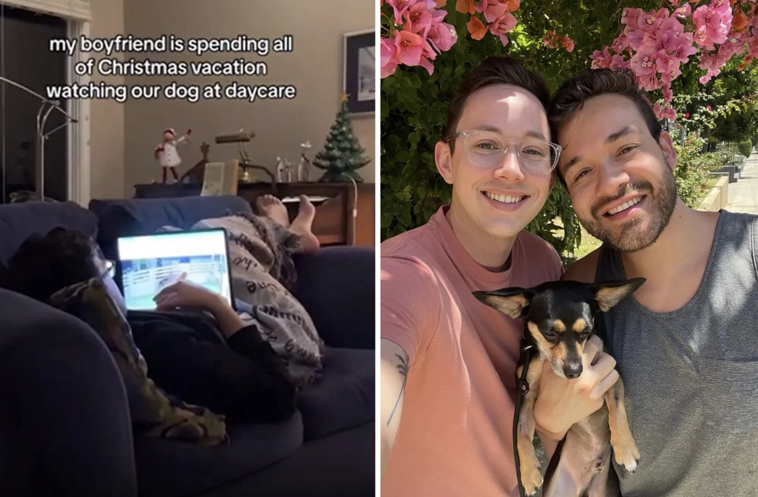 A split-screen image with a humorous caption on the left and a joyful outdoor selfie of two men with a dog on the right. The caption reads, "my boyfriend is spending all of Christmas vacation watching our dog at daycare." The left side shows a person on a couch watching a tablet, wrapped in a blanket, with Christmas decorations in the background. The right side features two men outdoors smiling, holding a small black and tan dog in front of blooming pink flowers.