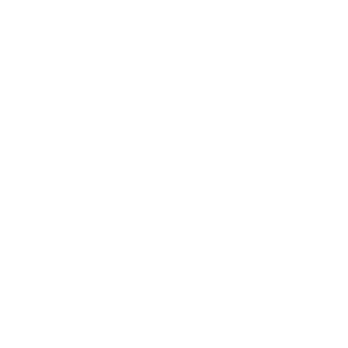 Tickets Icon
