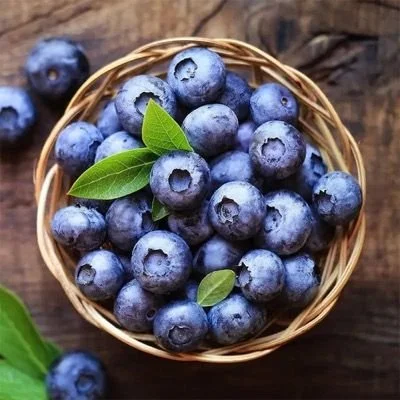 blueberries.jpeg