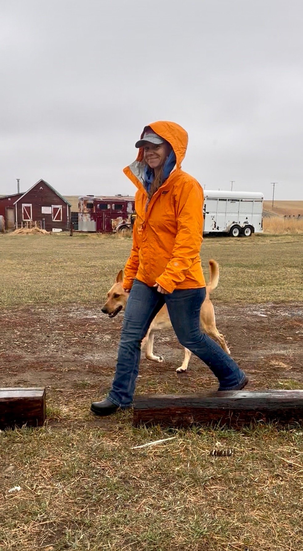 A woman in an orange rain jacket and a gray cap walks on a muddy path with a yellow dog. The background features a barn, horse trailer, and open field under a cloudy sky.