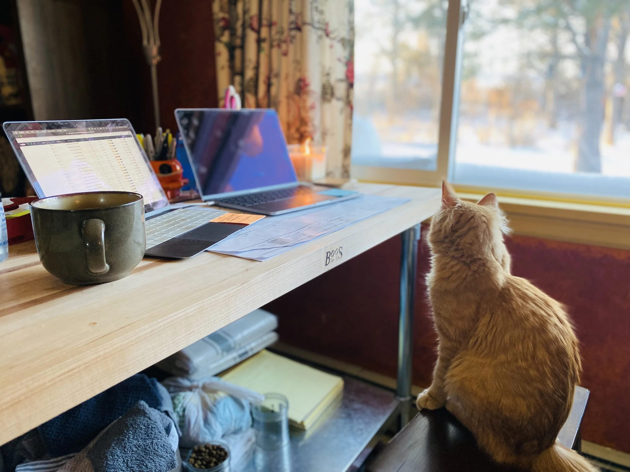A cozy home office with a wooden desk near a window showing a snowy outdoor scene. On the desk are two open laptops, a large gray coffee mug, and various office supplies. A ginger cat sits on a chair, looking out the window, enjoying the winter view.