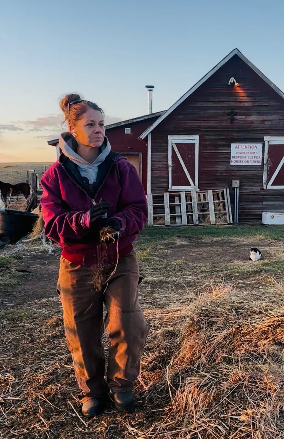 A woman standing outdoors in a field at sunset, holding a small plant or sprout. She is dressed in outdoor clothing, including a red jacket and brown pants, with a barn and a black-and-white cat in the background.