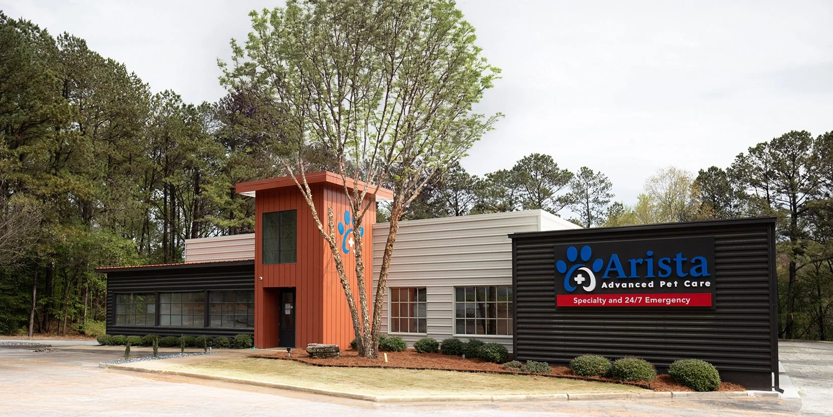 ARATL with leaves3.jpg