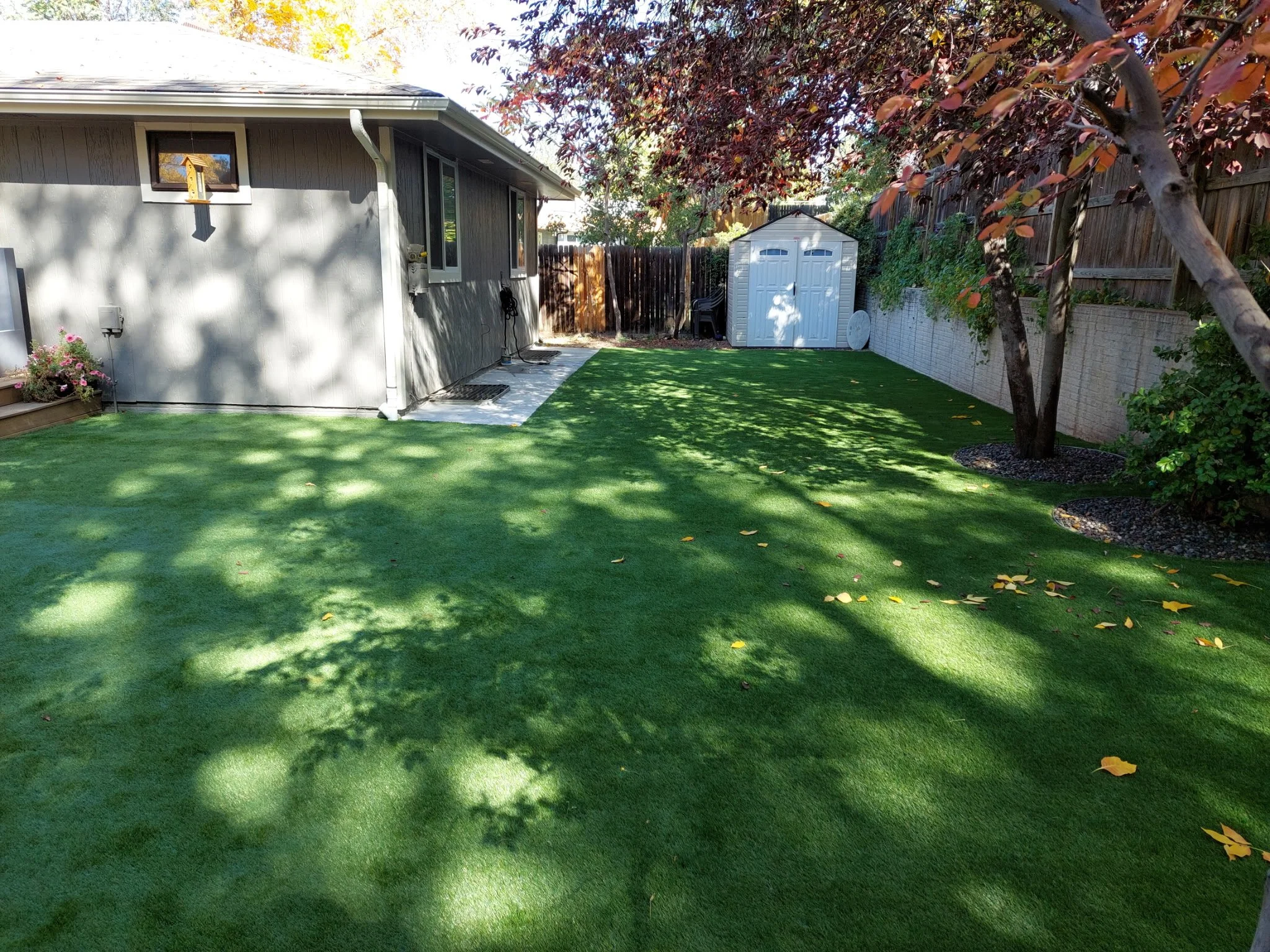 A backyard with a lush green lawn, a gray house on the left, a small shed in the backyard, and trees casting shadows on the grass.