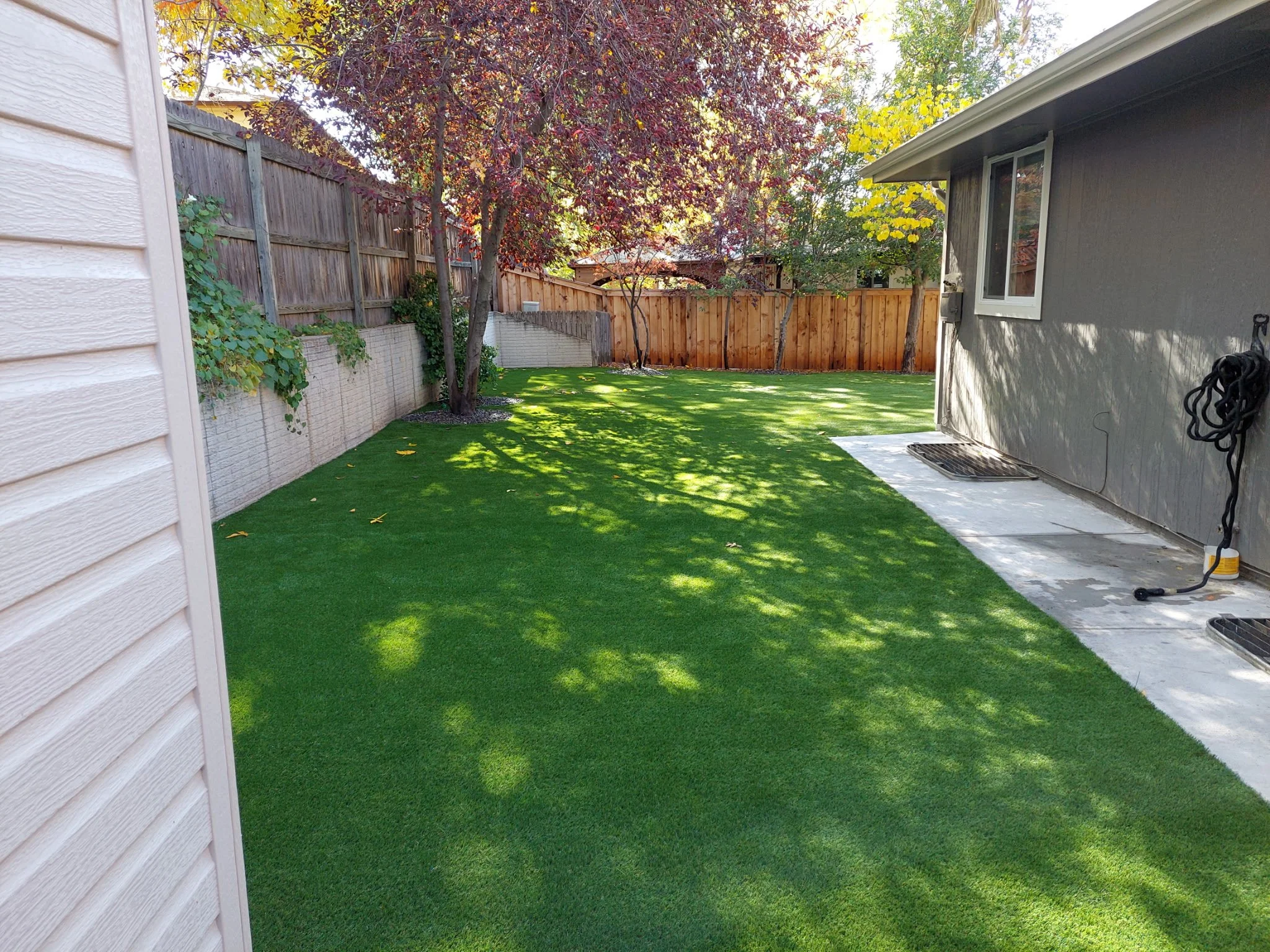 A backyard with a lush green lawn, surrounded by a wooden fence, with trees casting shadows and a gray house wall with a window on the right side.