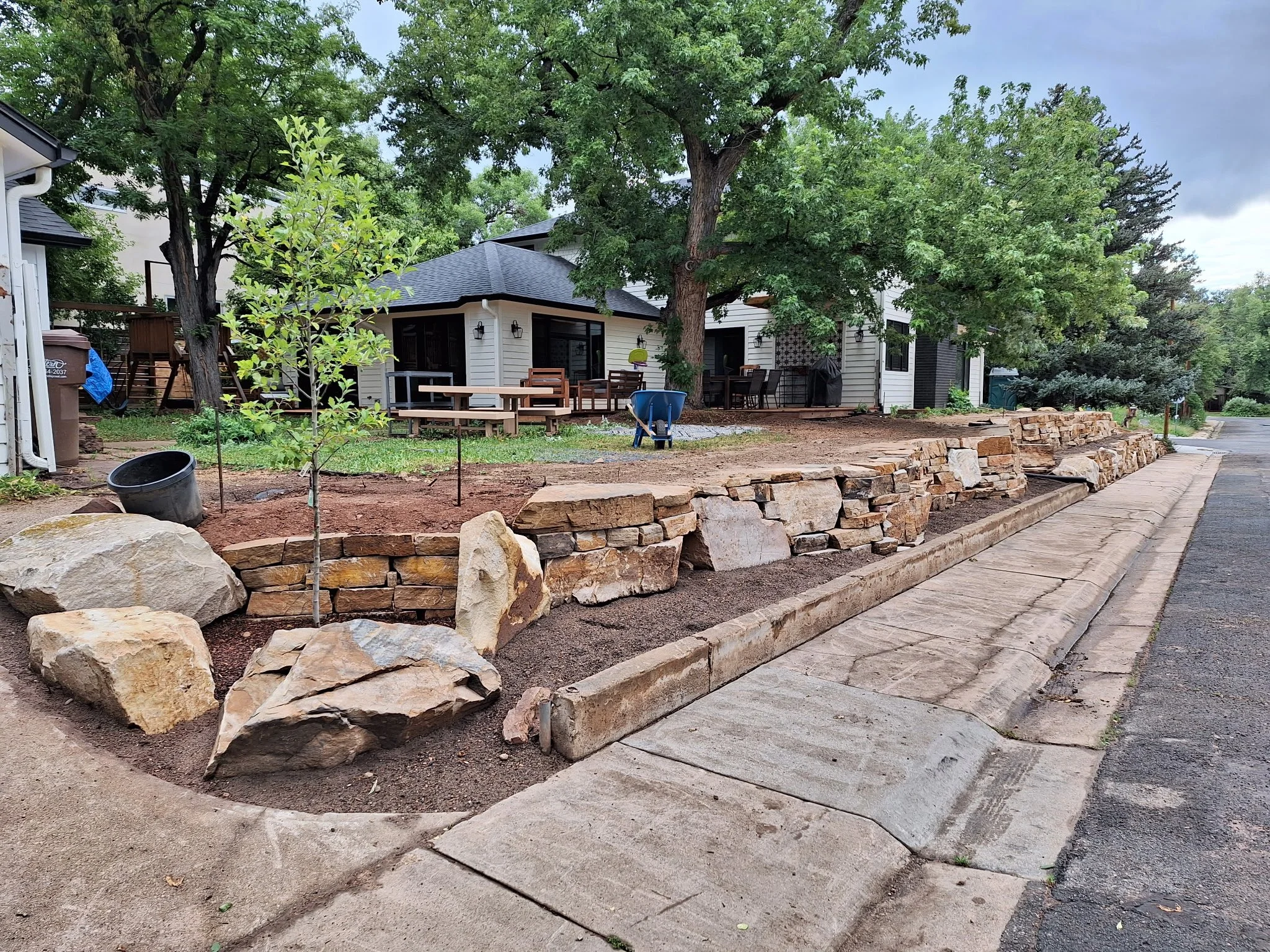 Front yard with rocks and a small tree, in the background there are houses, trees, and a street with a sidewalk.