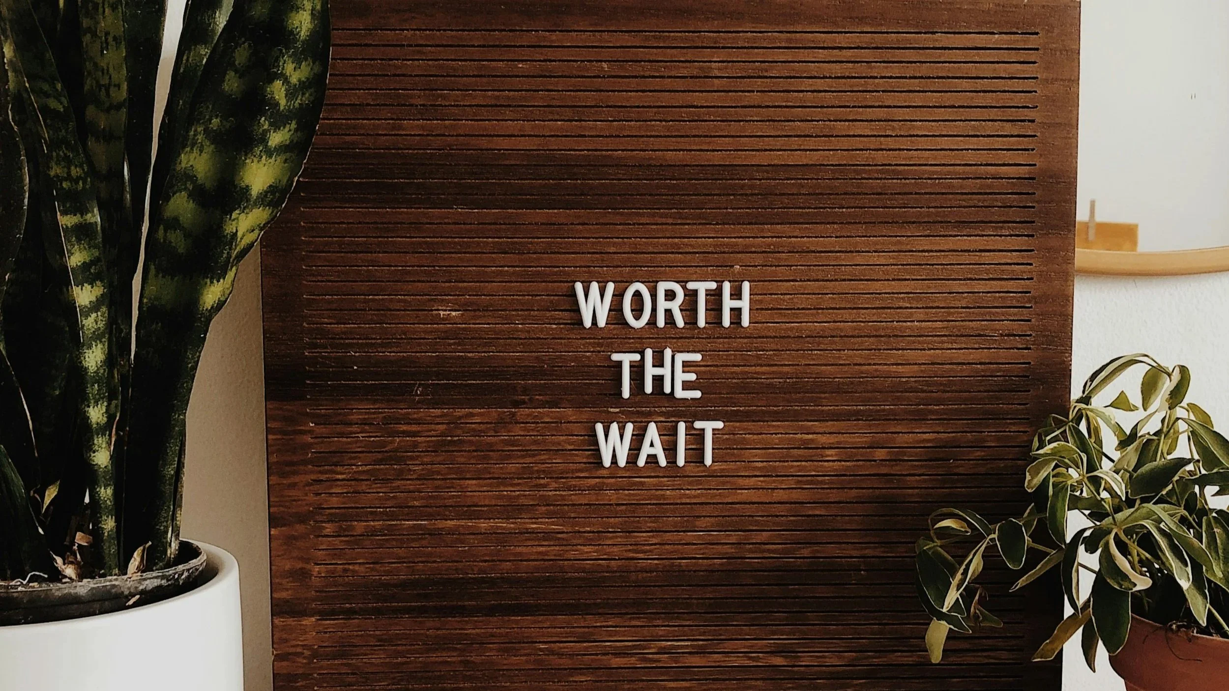 A wooden sign with the words "WORTH THE WAIT" on it, flanked by green plants in pots.
