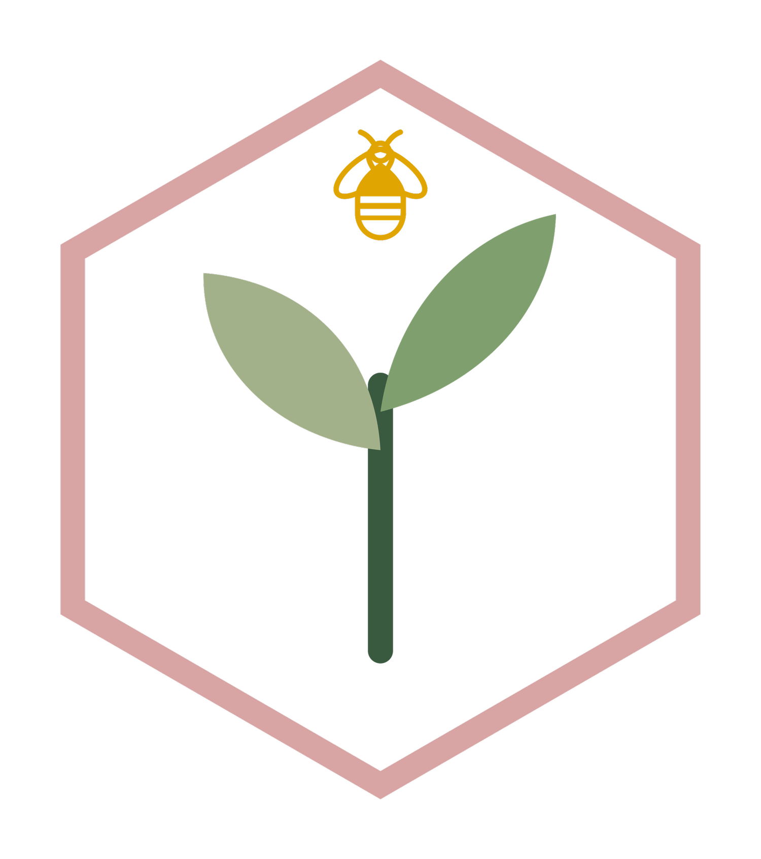 HoneyRoot Collective