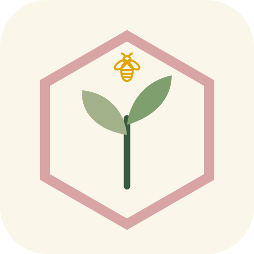 HoneyRoot Collective