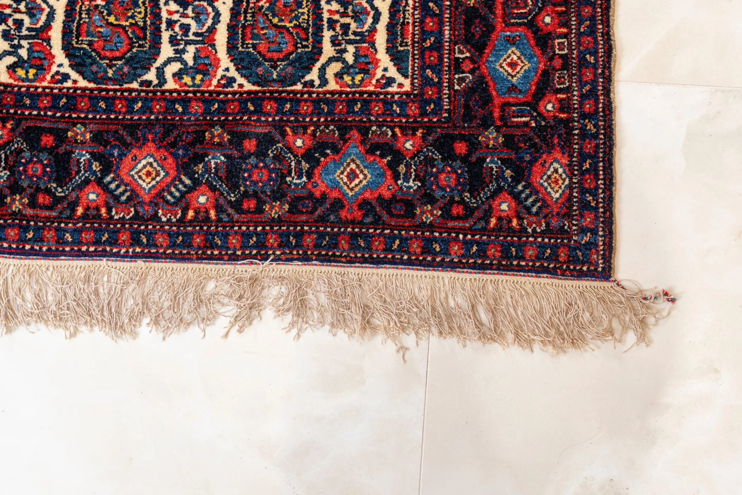 7RV09502_Edited (1).jpg