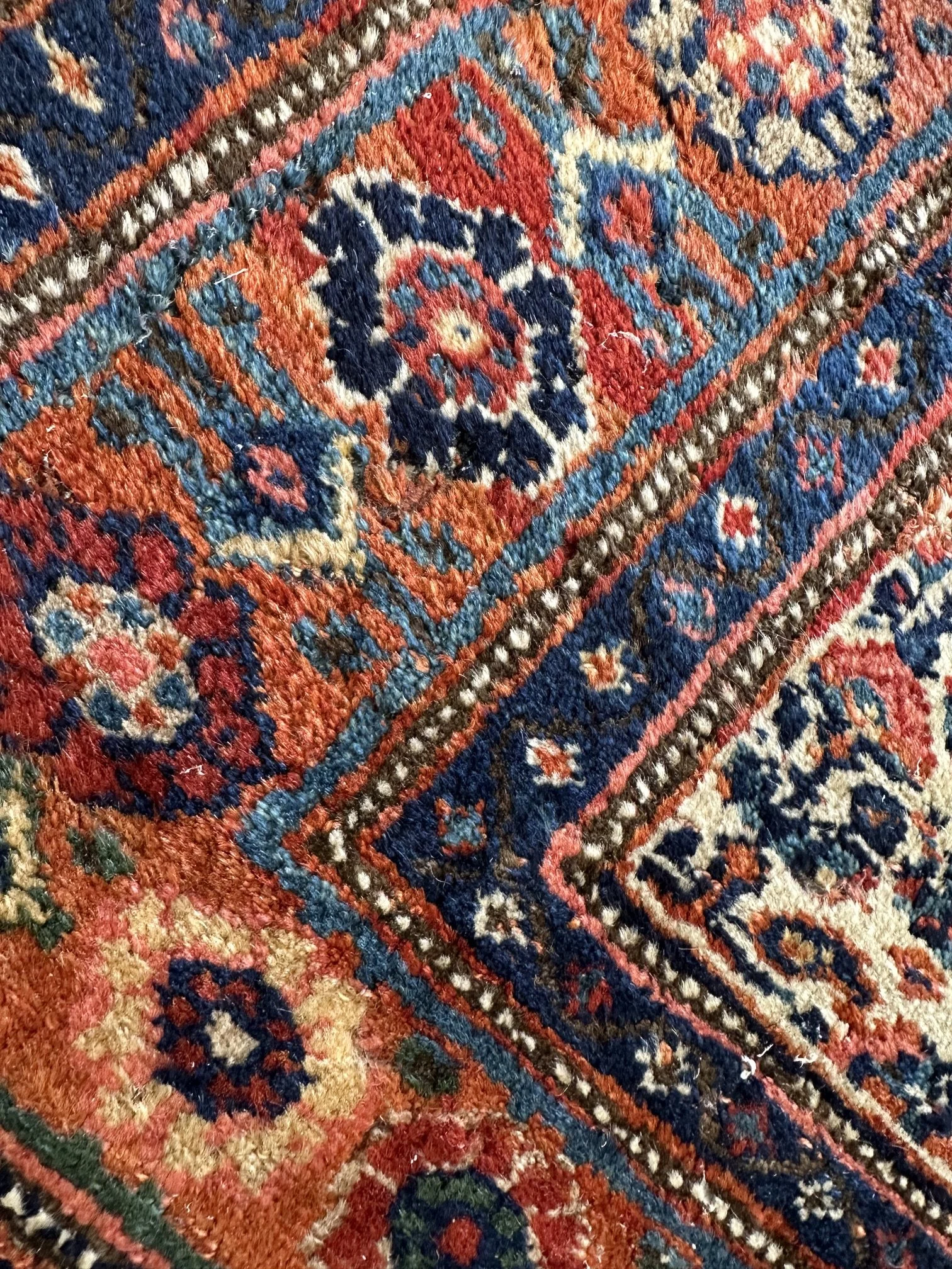 IMG_7211.jpeg
