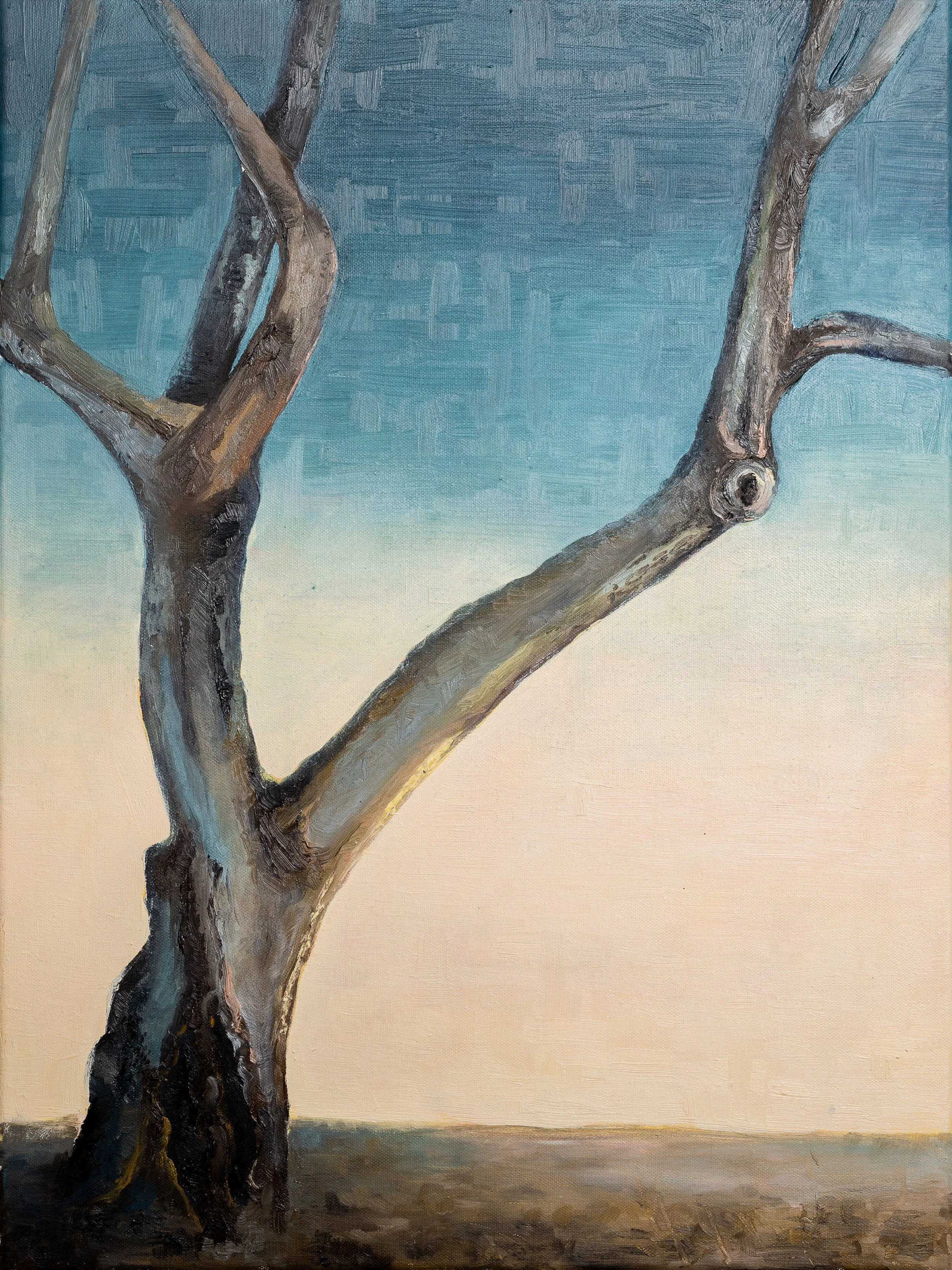 Dogwood,
16x24in.,
Oil on Canvas,
2024,
Available