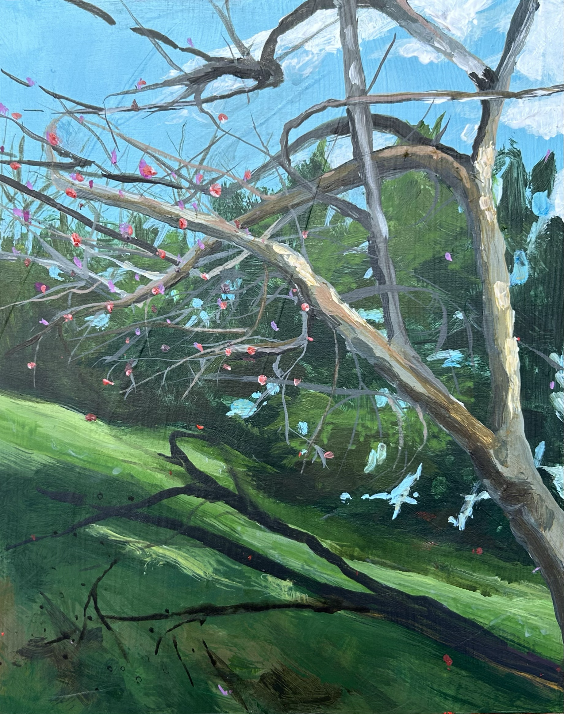 Springdale,
8x10in.,
Acrylic on Panel,
2026,
Available