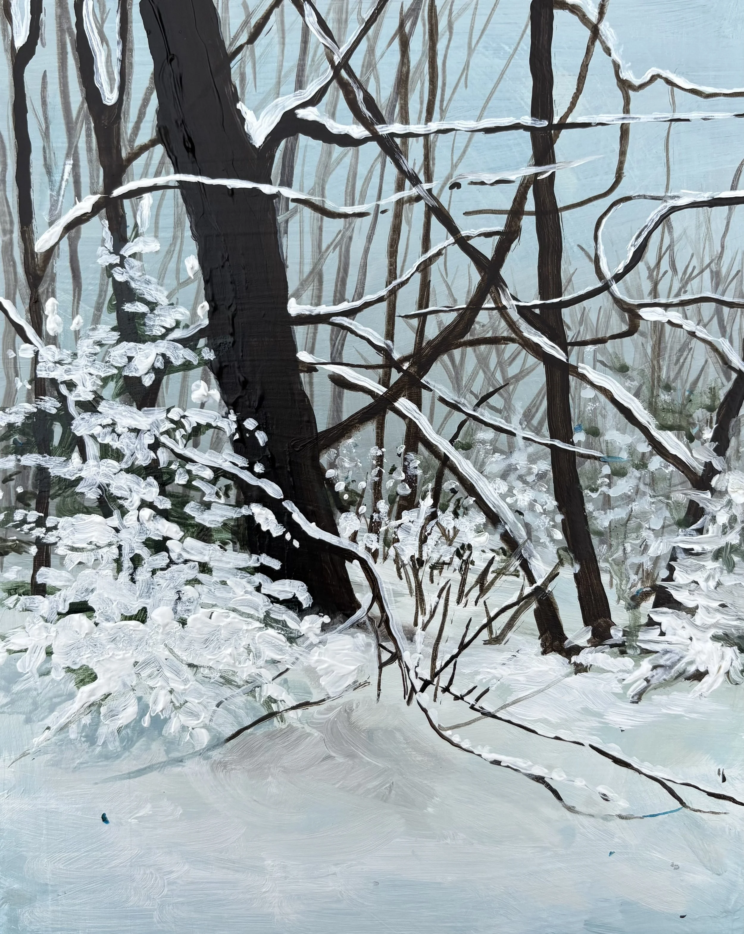 January Snow,
8x10in.,
Acrylic on Panel,
2026,
Available