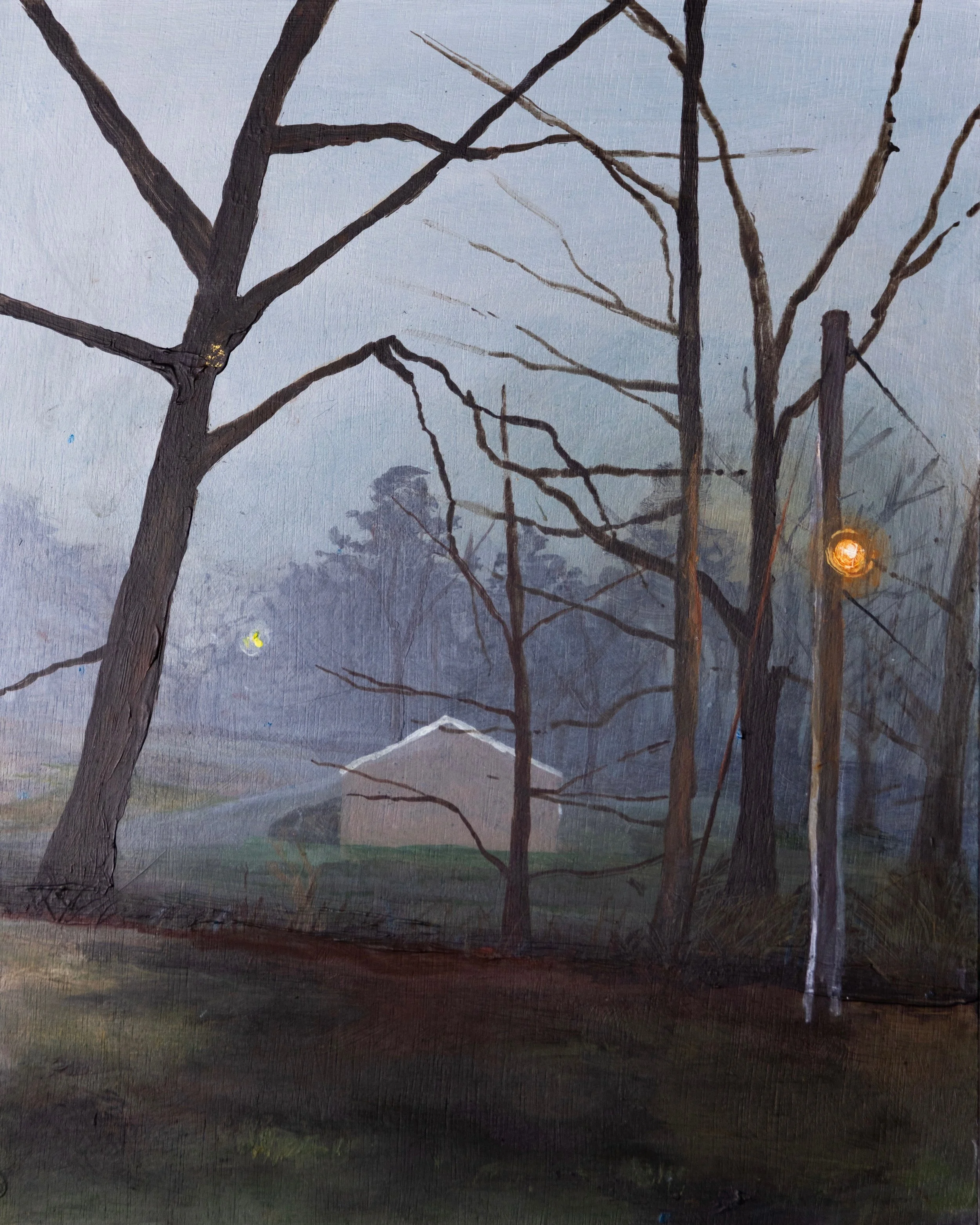 Morning Fog 2