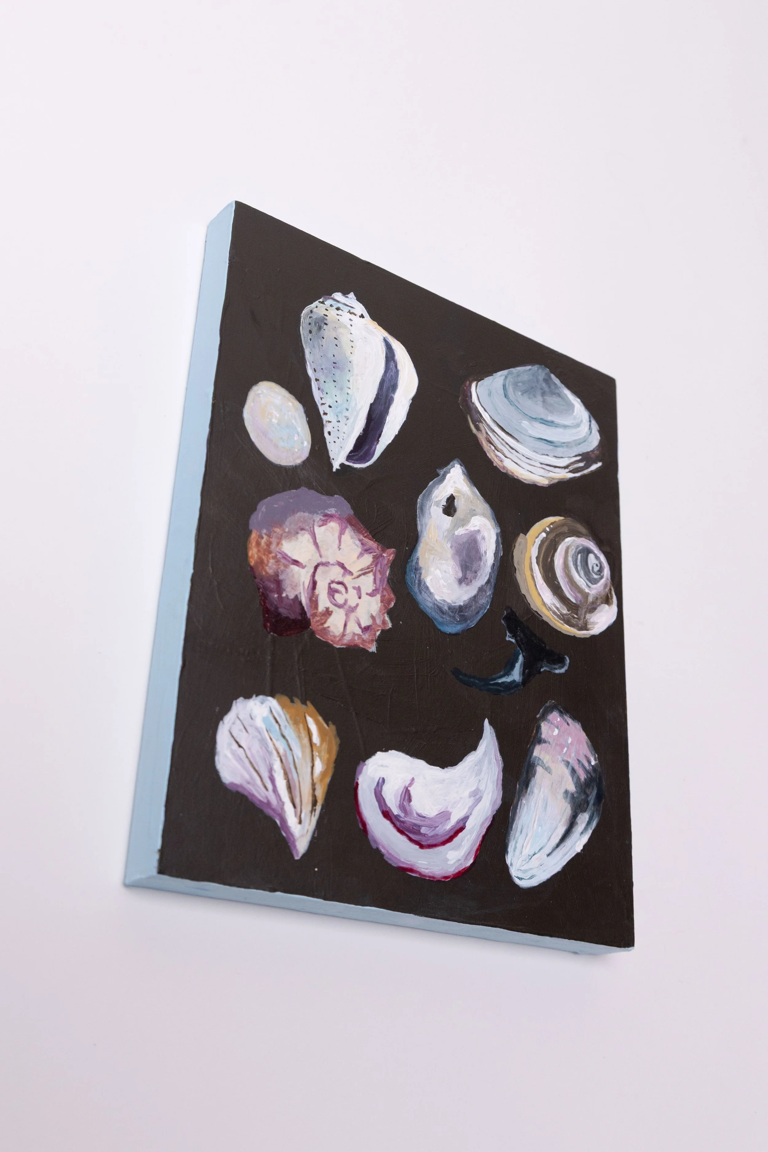 Found Shells, 
8x10 in.,
Acrylic on Panel
2026,
Sold