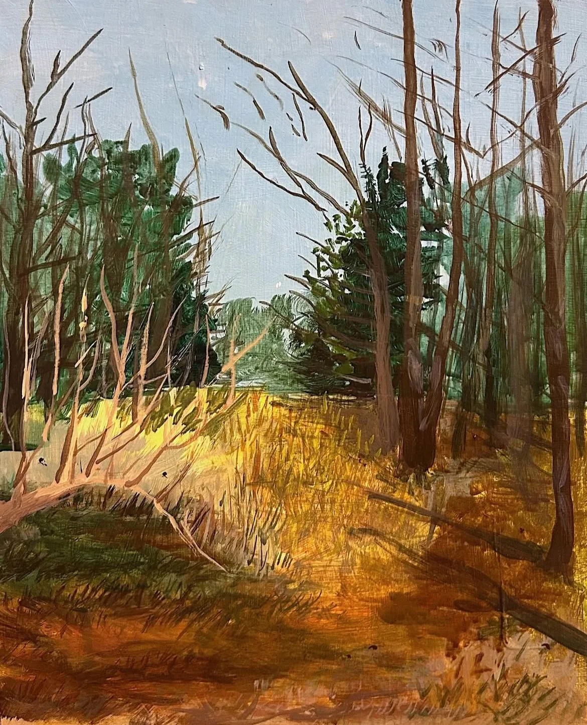 Through the Trees, 
8x10in.,
Acrylic on Panel,
2025,
Sold