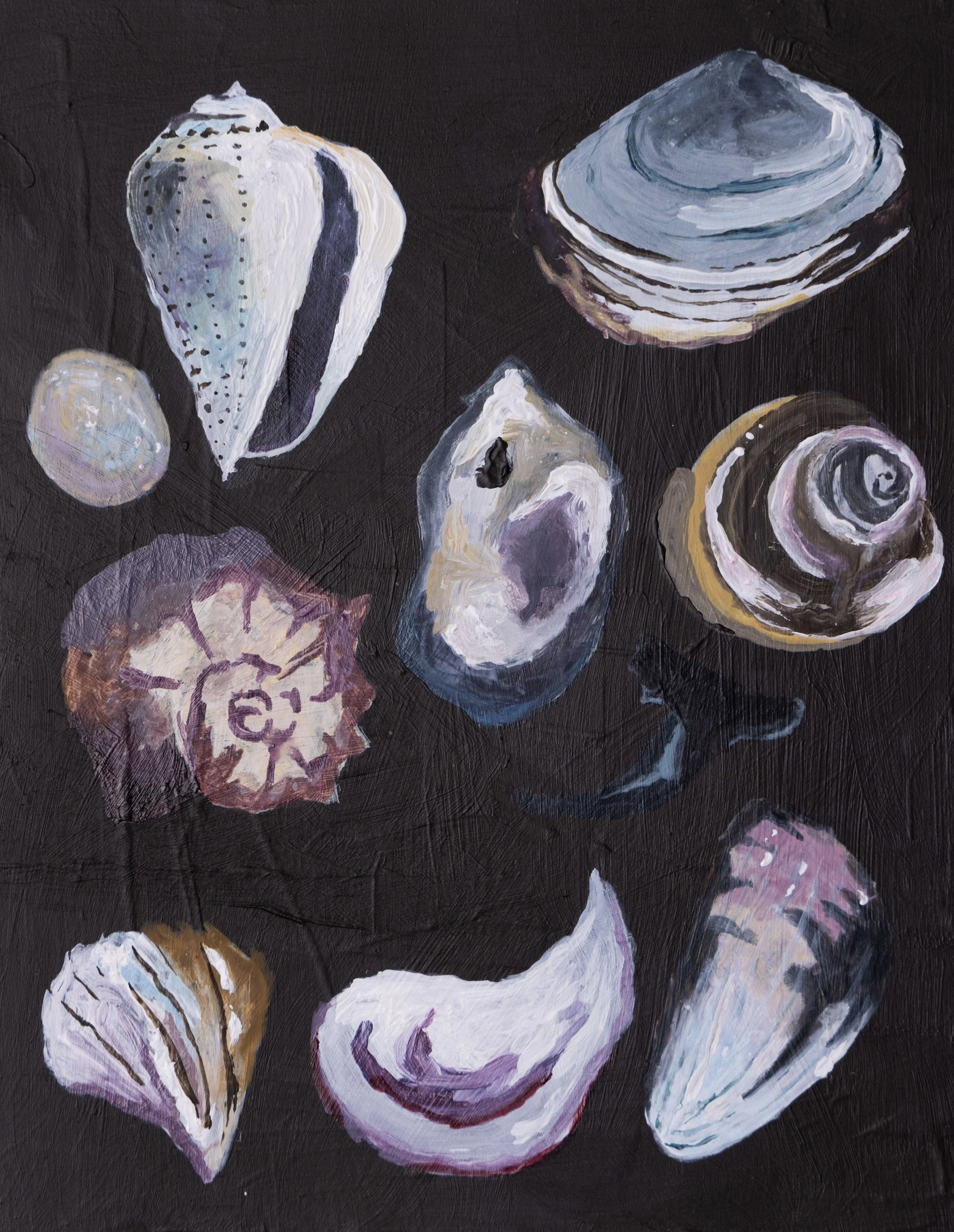 Found Shells, 
8x10 in.,
Acrylic on Panel
2026,
Sold