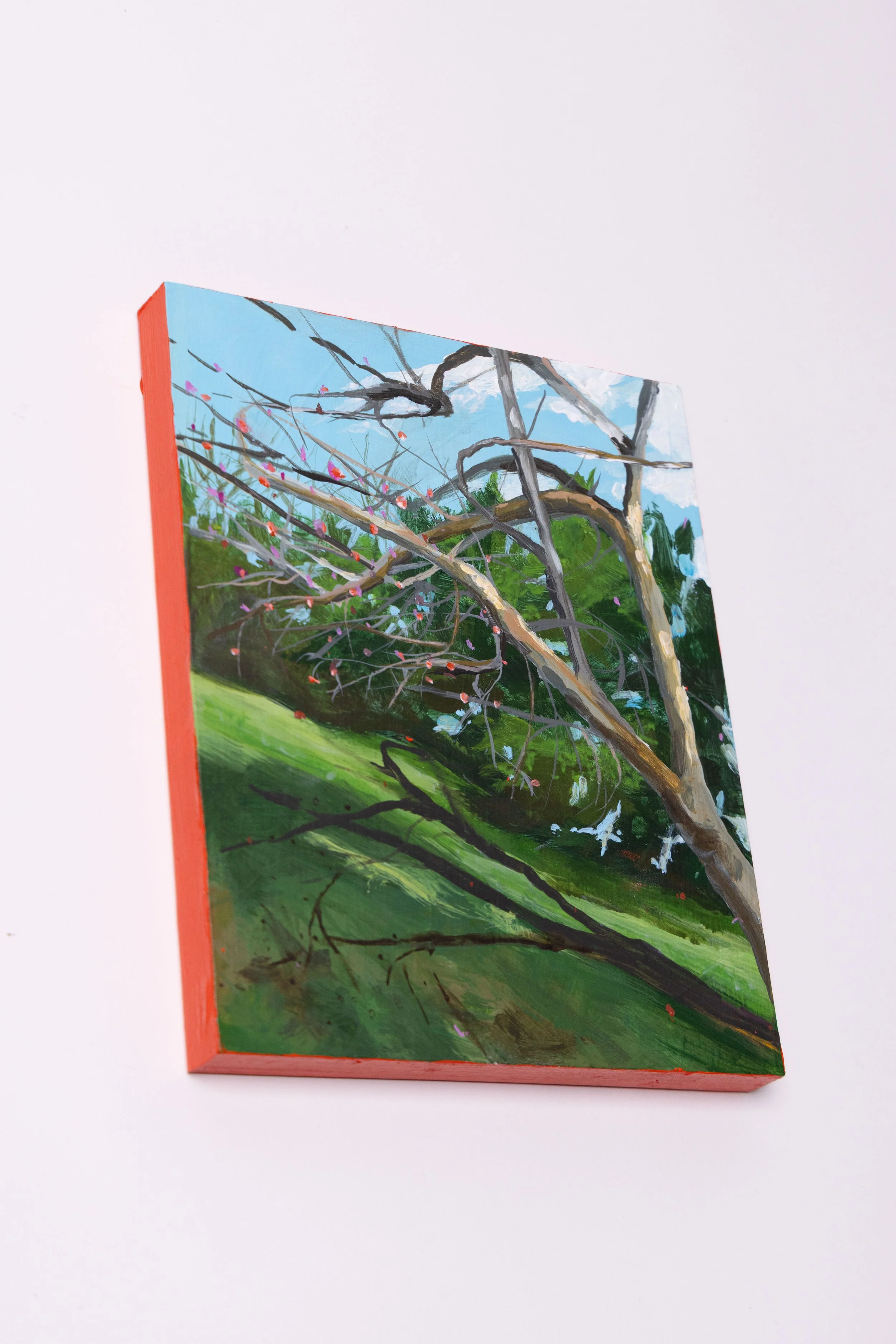 Springdale,
8x10in.,
Acrylic on Panel,
2026,
Available