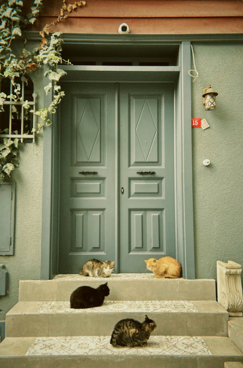 Finding Home Through Community