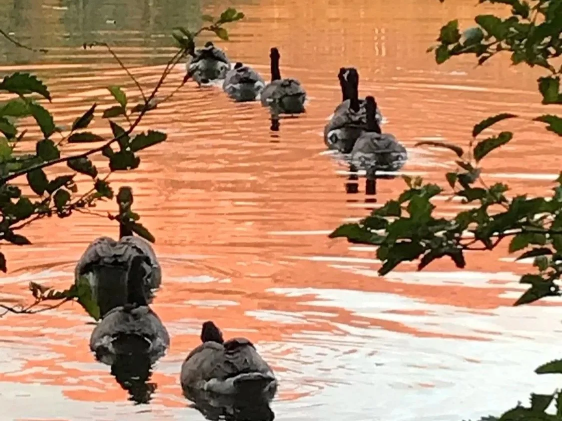 Lassen National Park