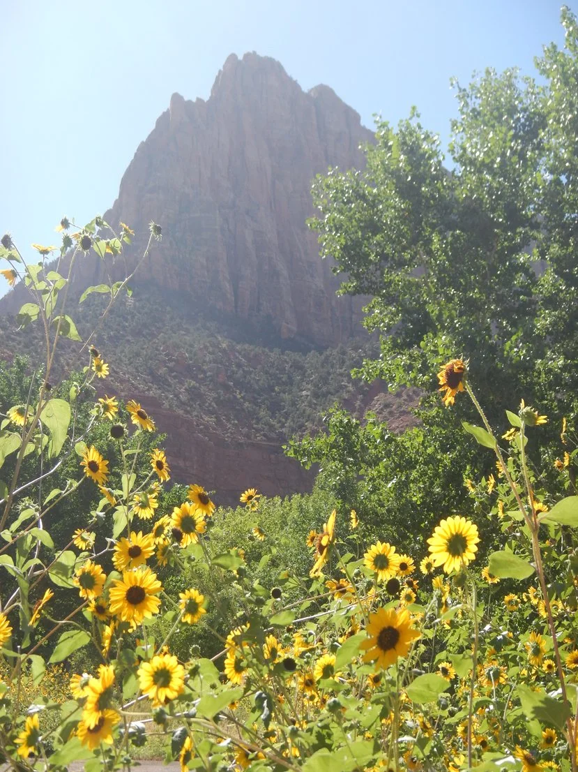 Zion National Park