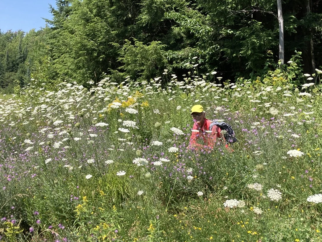 Porcupine Mountains Wilderness State Park
