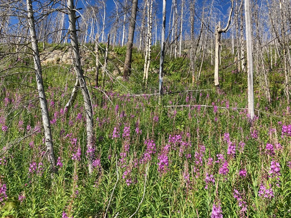 Glacier National Park