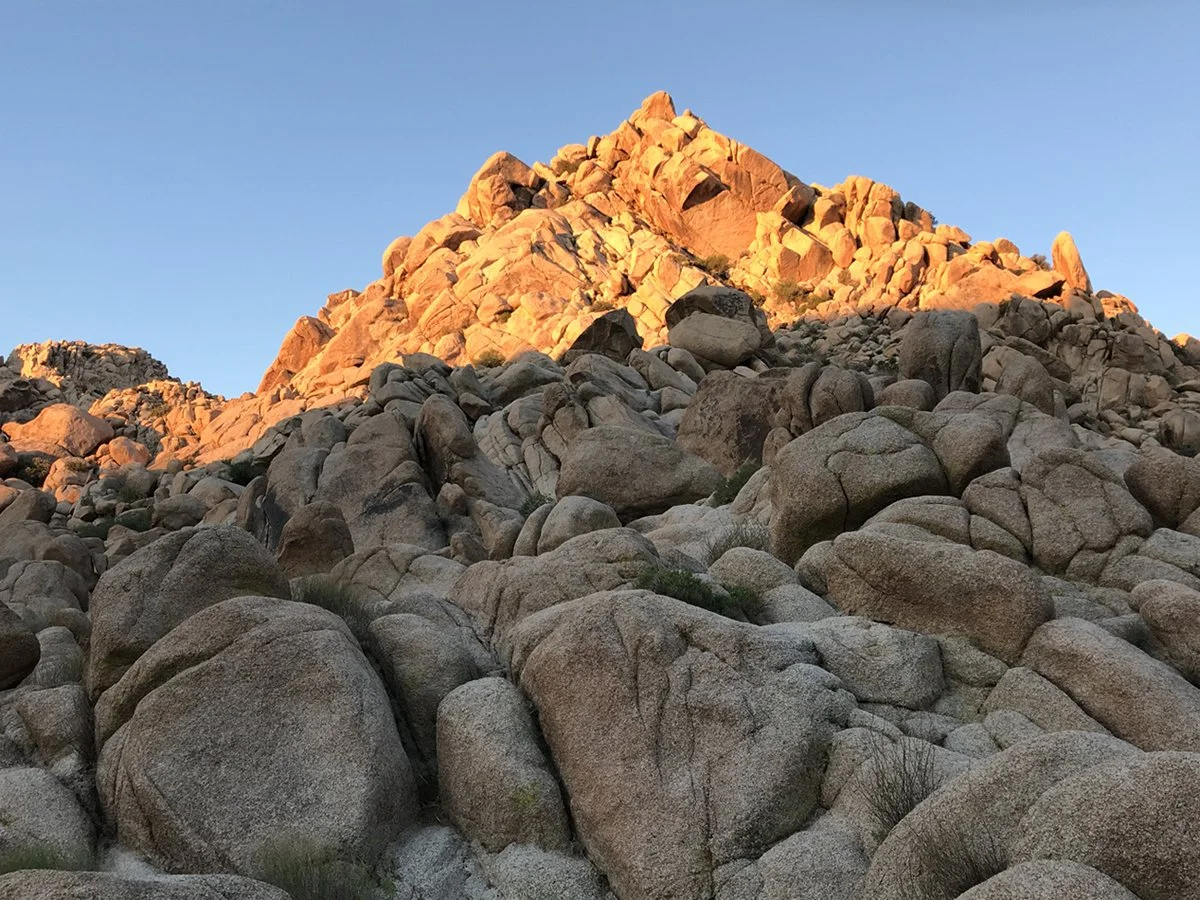 Joshua Tree National Park