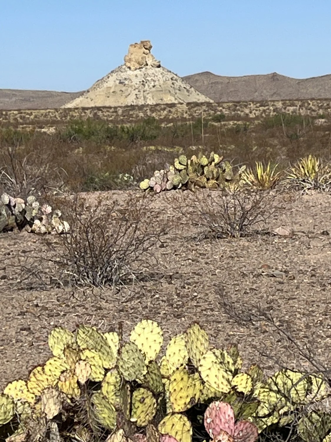 Big Bend National Park