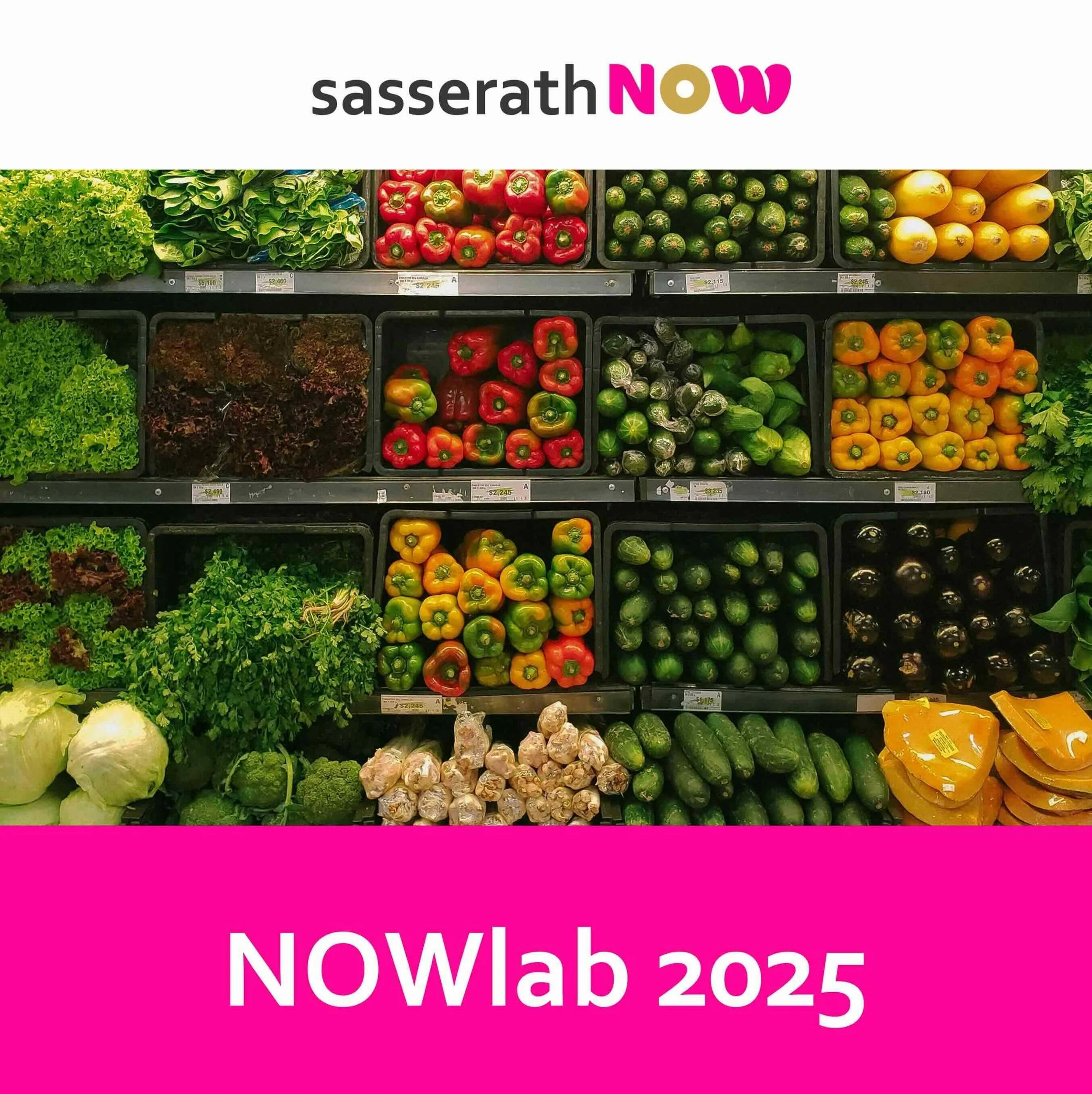 Das NOWlab 2025