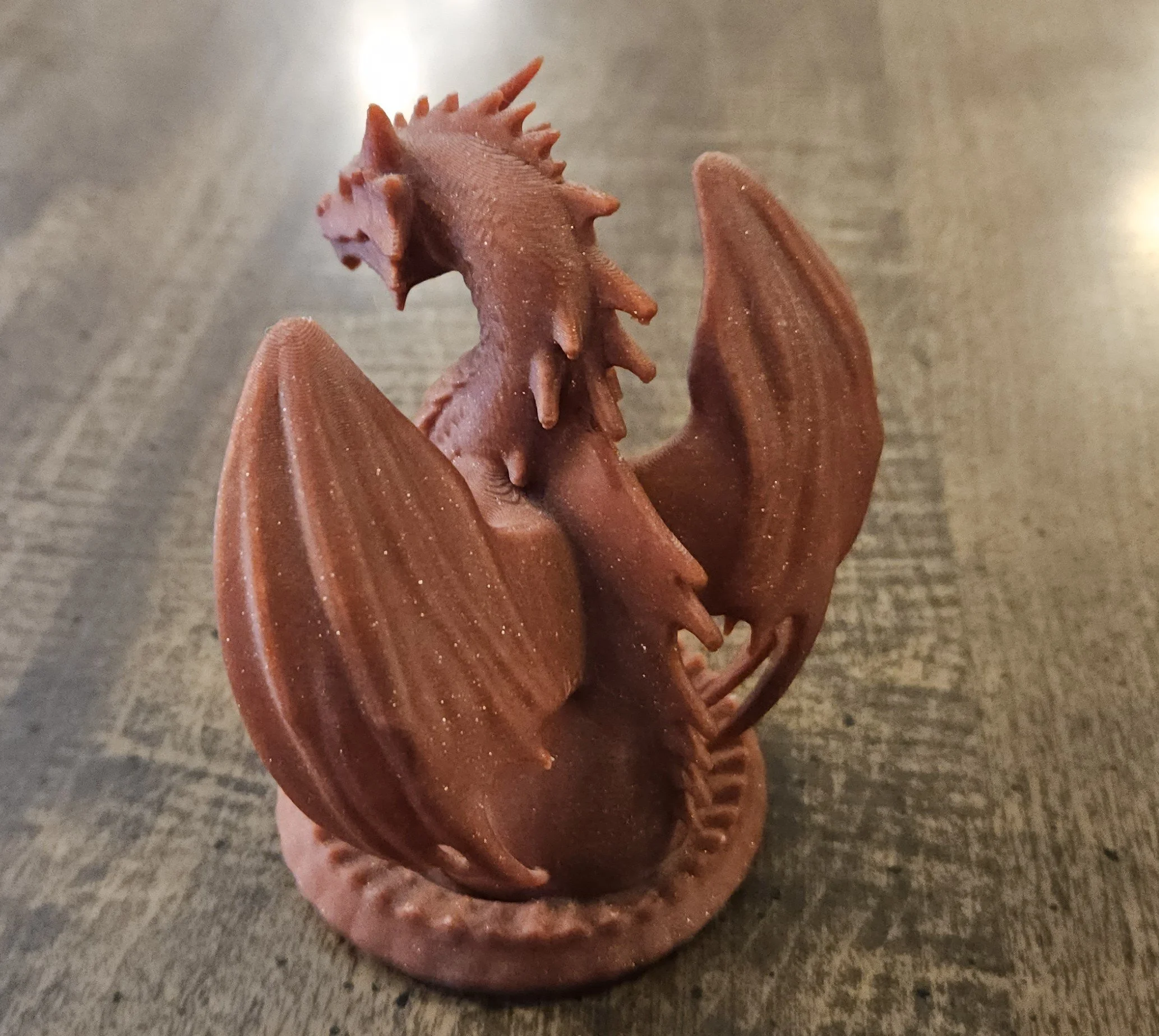20260801_132812_coiled_dragon_back.jpg