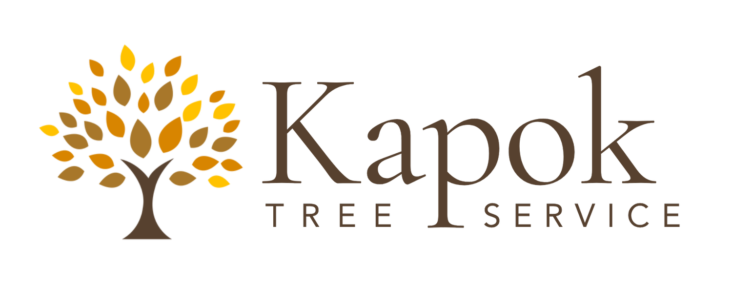 Kapok Tree Service