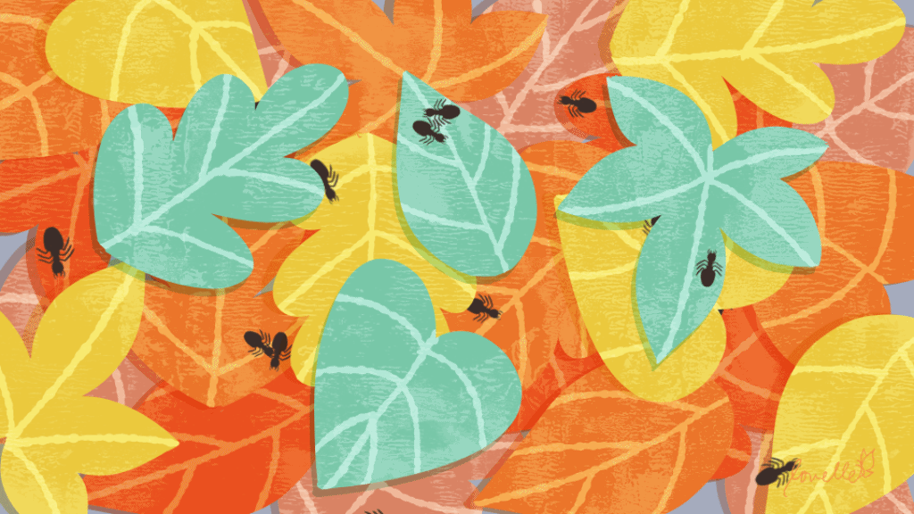 Illustration 2.gif