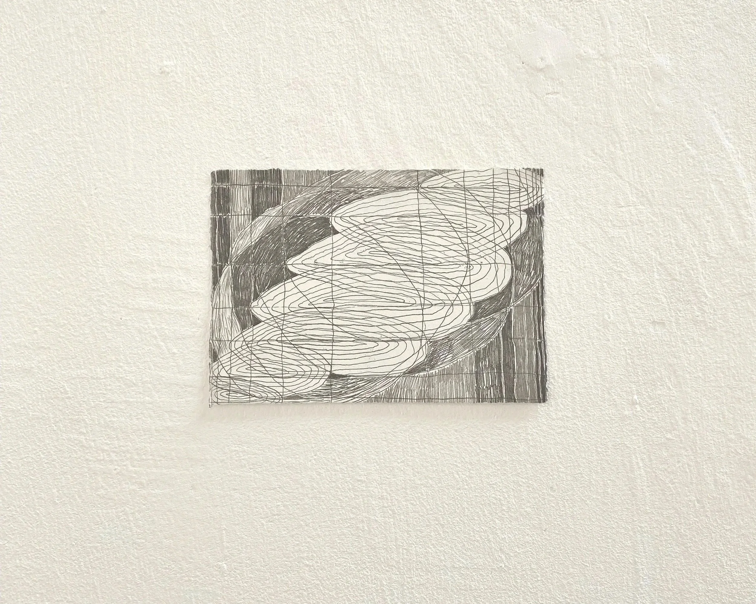 Model, 2025. Softground etching, 20 x 14.5 cm