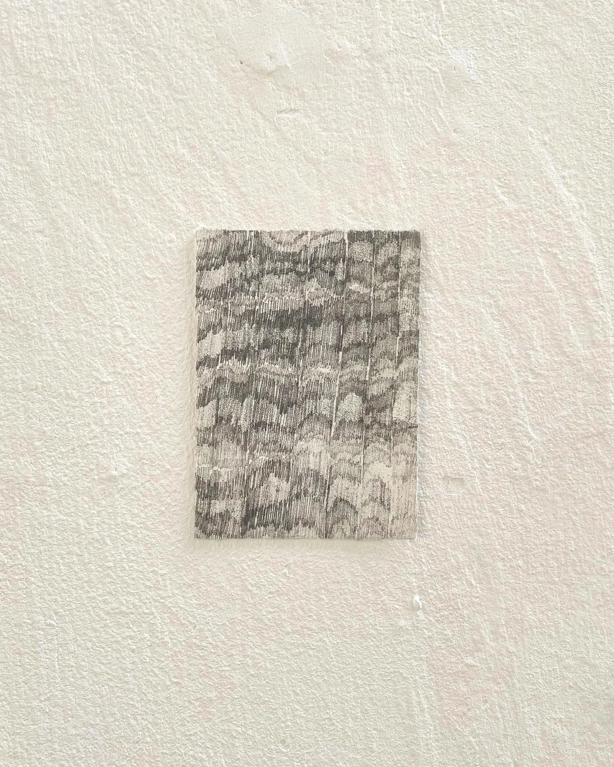 Cross section, 2025. Softground etching, 14 x 10 cm