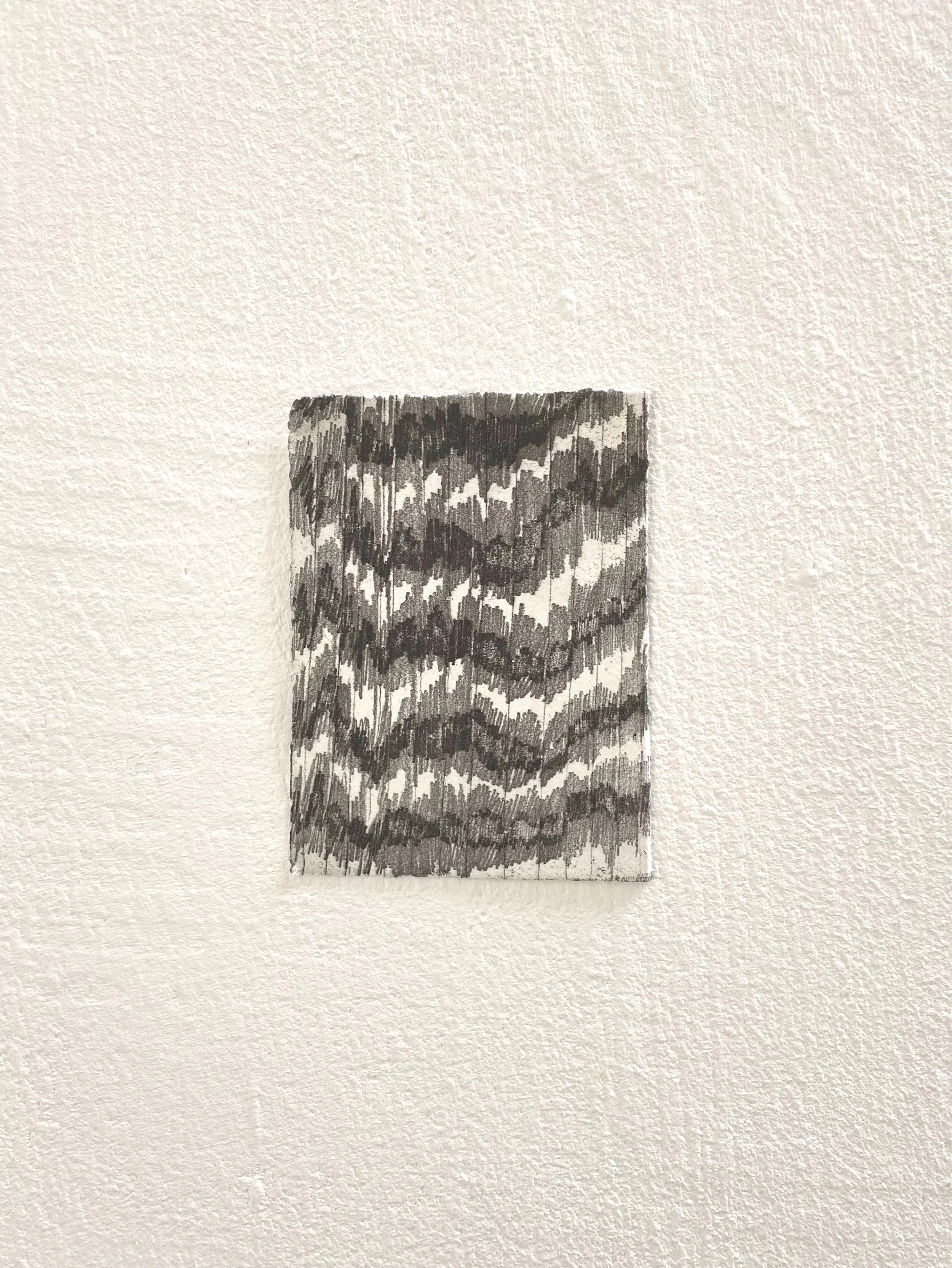 Cross section #2, 2025. Softground etching, 14 x 10 cm

