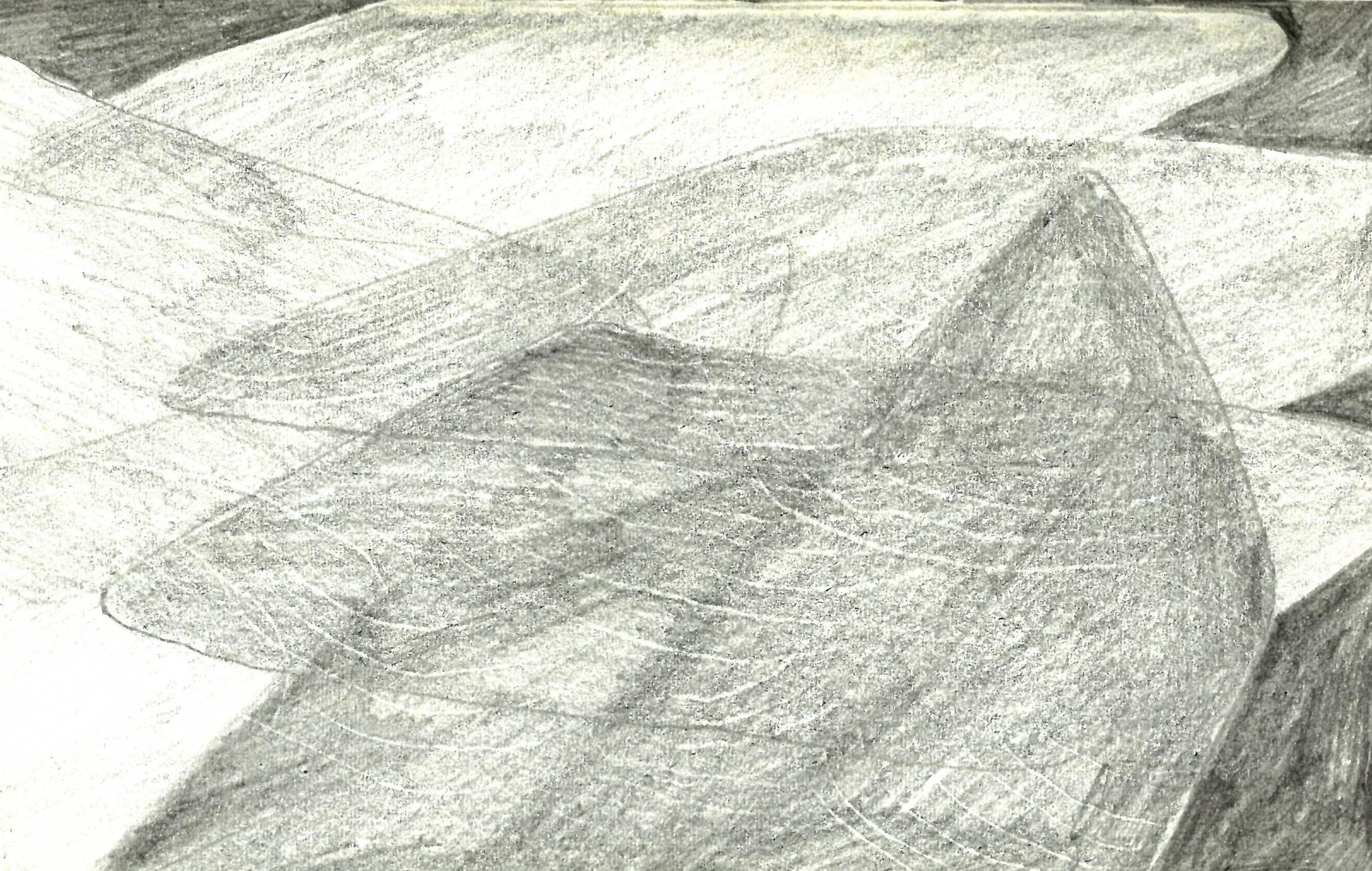 Scintilation 5 copy.jpg