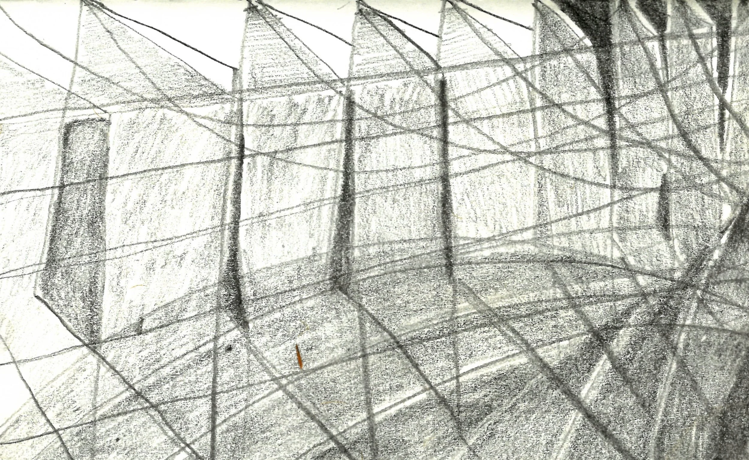 Field 2 copy.jpg