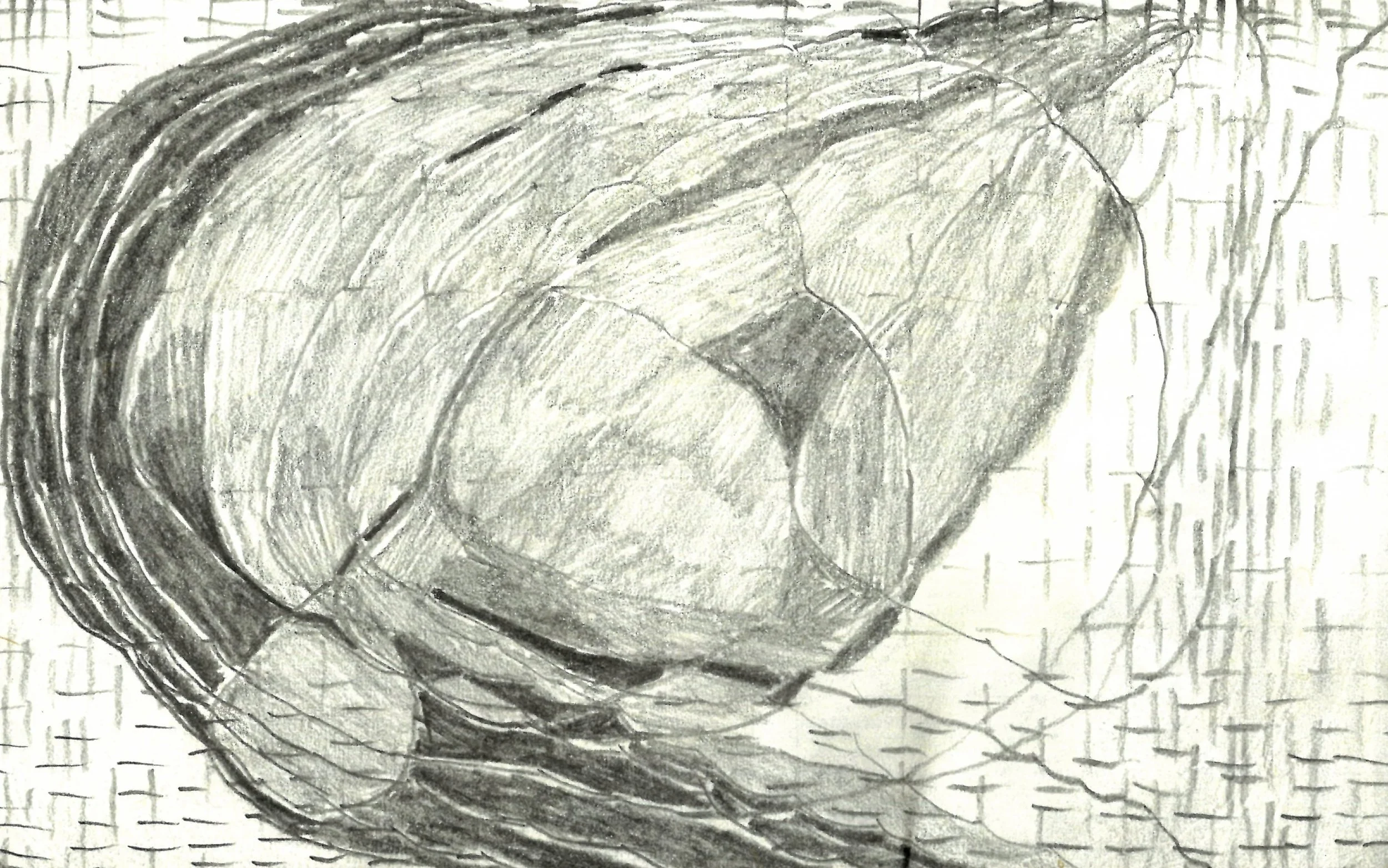 Soft grid 1 copy.jpg