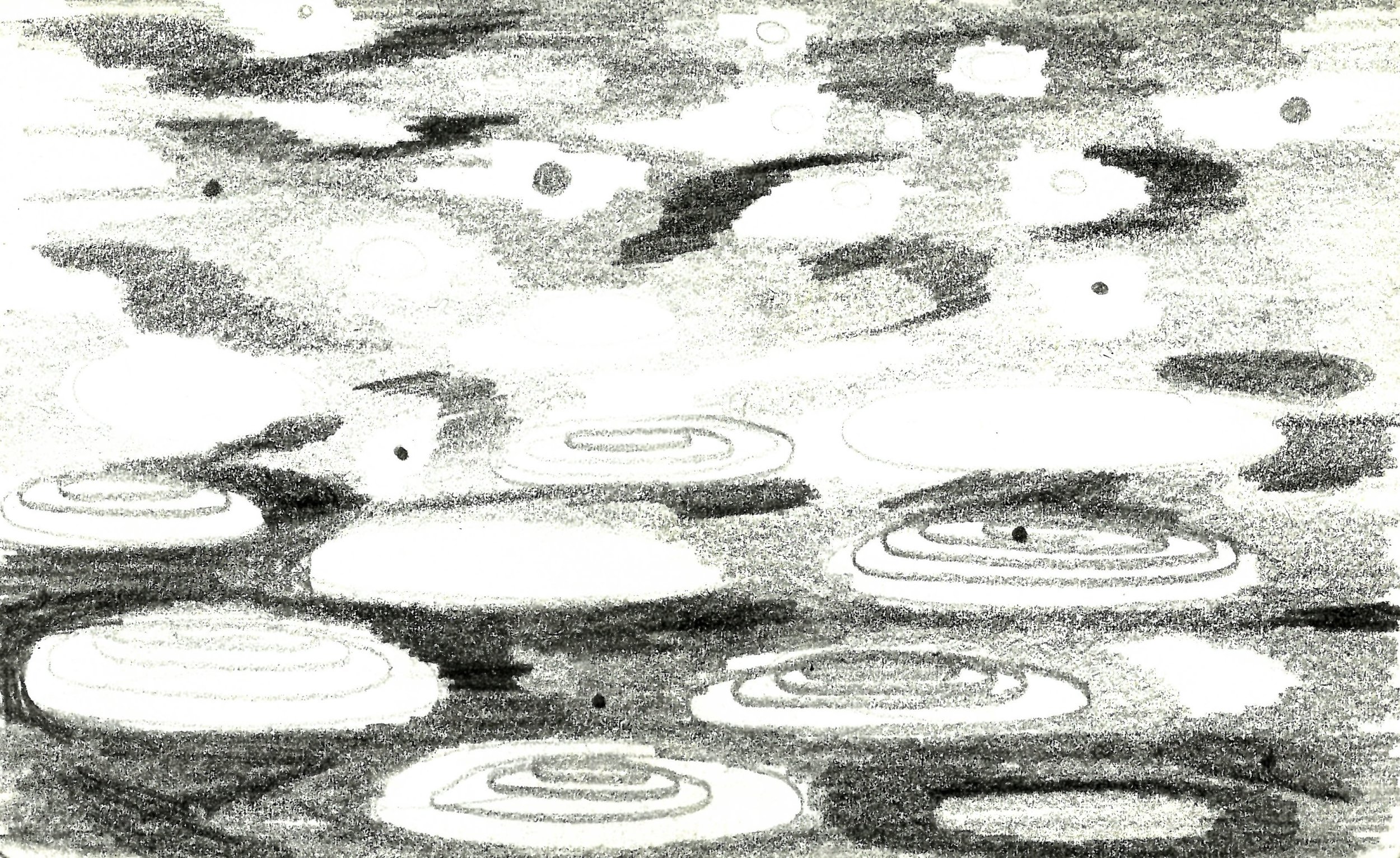 Cells 3 copy.jpg