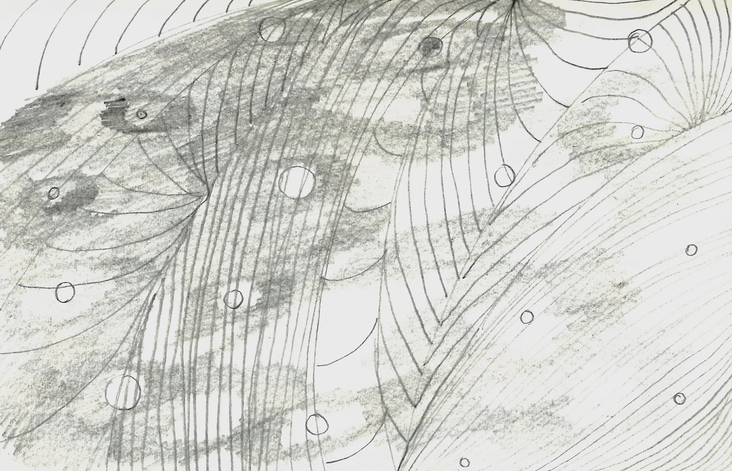 Cells 4 copy.jpg