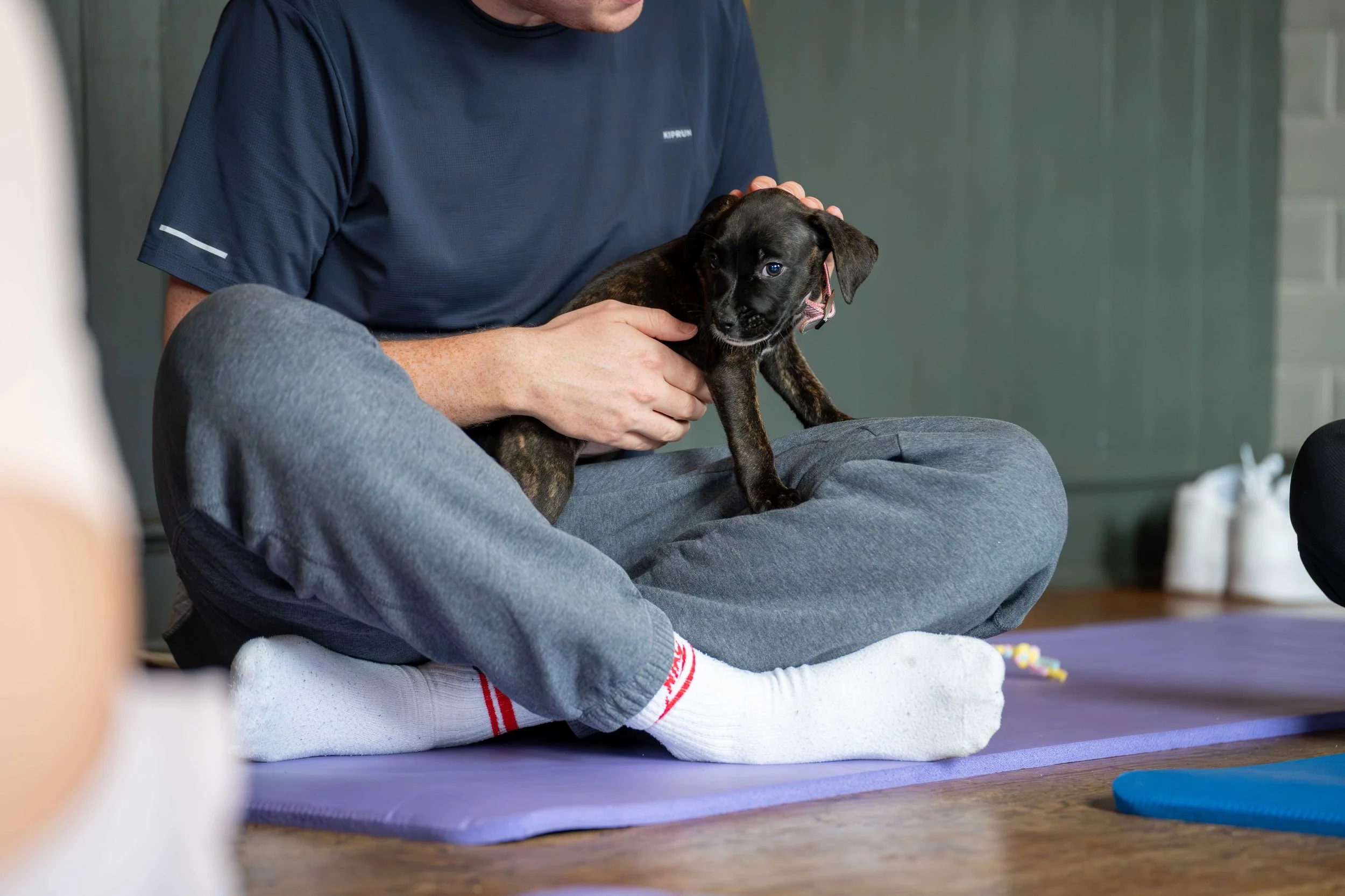 Man sitting cross-legged on a purple yoga mat holding a small black puppy.