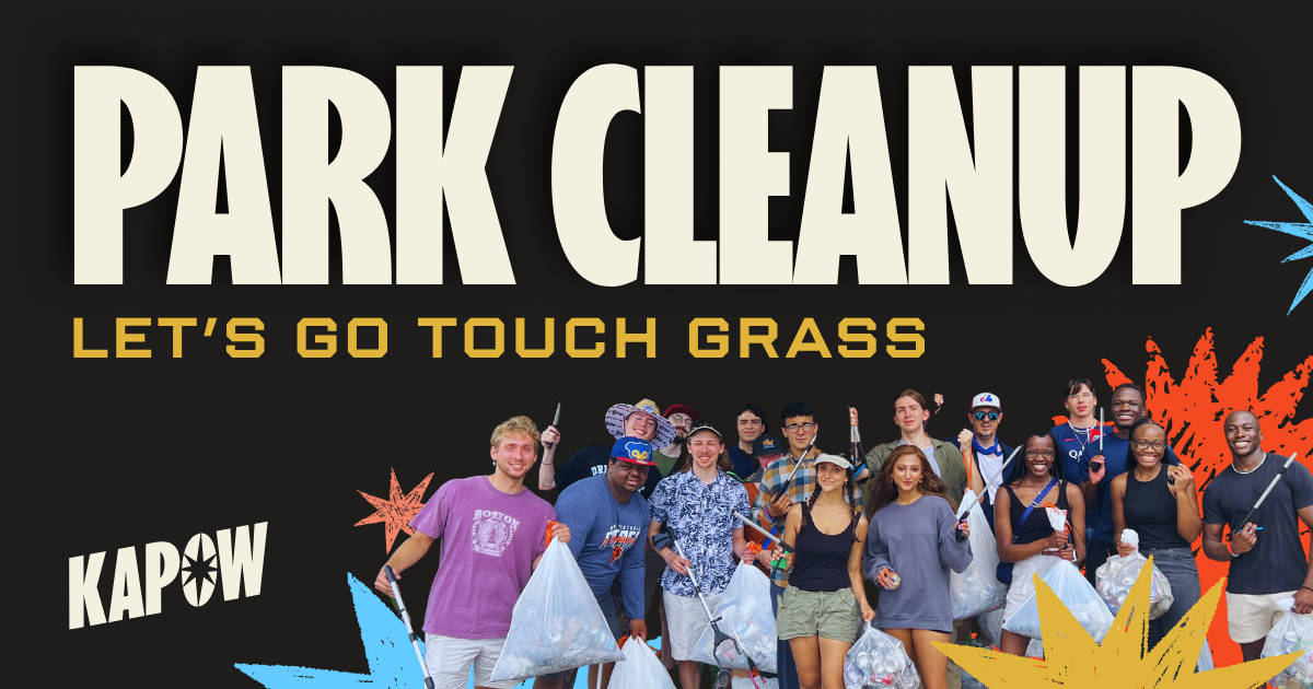 Park Cleanup: Touhy Park