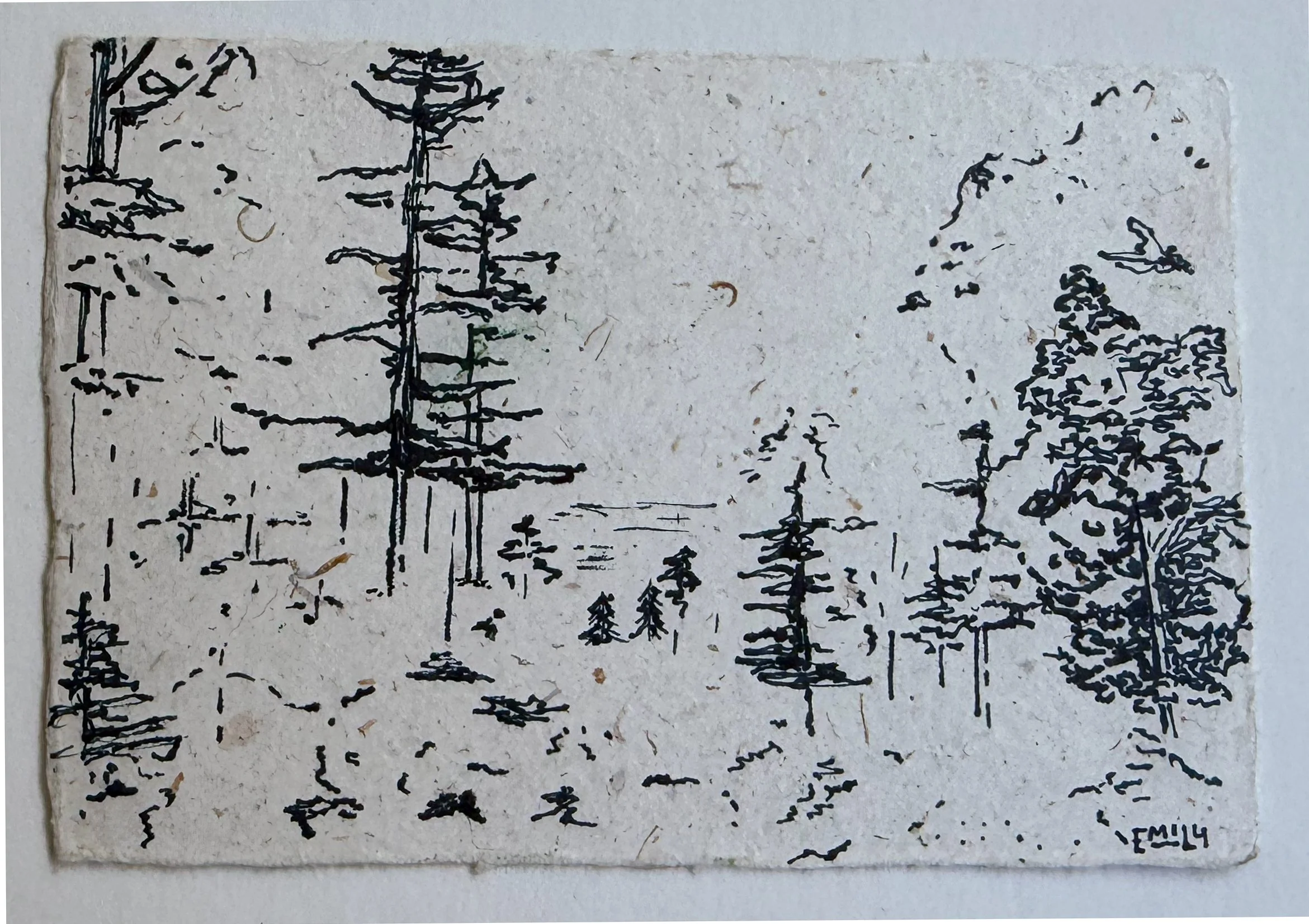 Acadia Orignal Ink Illustration