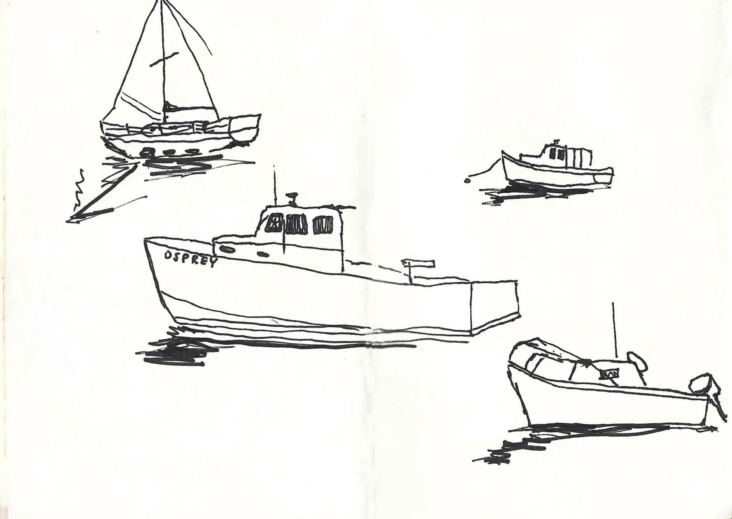 "OSPREY" ; Pen on paper, Summer 2026